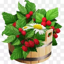 ²ÝÝ®¹û-¿ÕÈôÍø ²ÝÝ®¹û-¿ÕÈôÍø