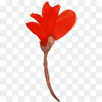 水彩花卉水彩画花瓣水彩画支部-空若网 水彩花卉水彩画花瓣水彩画支部-空若网