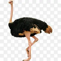 抠图材料-空若网 抠图材料-空若网