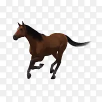 �ֻ����ֻ����ز�-������