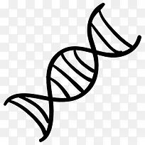 DNA-空若网 DNA-空若网