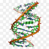 DNA-������