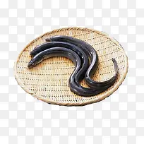 三条鳝鱼-空若网 三条鳝鱼-空若网