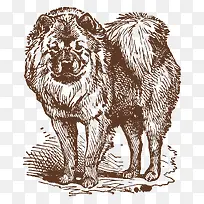 手绘牧羊犬-空若网 手绘牧羊犬-空若网