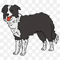 �ֻ�����Ȯ-������