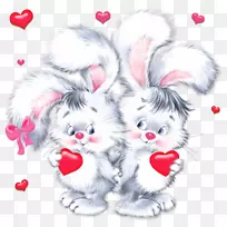 ���˽ڶ�������������Dia dos Namorados-˫��̥-������