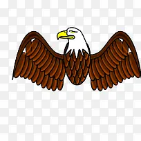 鹰的翅膀-空若网 鹰的翅膀-空若网