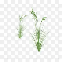 ������-������