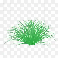 小的青草-空若网 小的青草-空若网