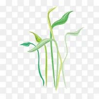 青草的春天-空若网 青草的春天-空若网