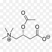 ¦Ã-°±»ù¶¡Ëá-°±»ùËá-Éñ¾µÝÖÊ»¯ºÏÎï-°ëË¥ÆÚ-¿ÕÈôÍø ¦Ã-°±»ù¶¡Ëá-°±»ùËá-Éñ¾µÝÖÊ»¯ºÏÎï-°ëË¥ÆÚ-¿ÕÈôÍø