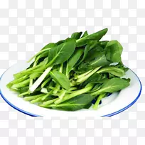 Ê߲˰ײ˴ó°×²Ë-¾íÐIJË-¿ÕÈôÍø Ê߲˰ײ˴ó°×²Ë-¾íÐIJË-¿ÕÈôÍø