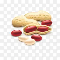 花生干果食物设计-空若网 花生干果食物设计-空若网