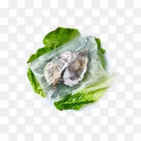 ���Ʒ������ز�-������