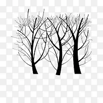 冬天的树木-空若网 冬天的树木-空若网