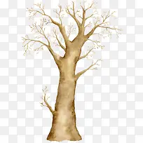 ��Ҷ����-������