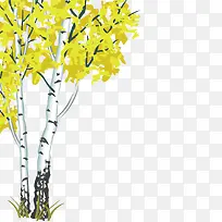 茂盛的白桦树-空若网 茂盛的白桦树-空若网