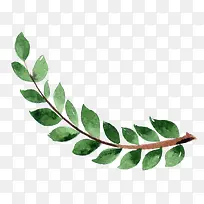 茂盛的树枝卡通插画-空若网 茂盛的树枝卡通插画-空若网