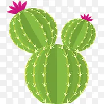 开花的仙人球-空若网 开花的仙人球-空若网