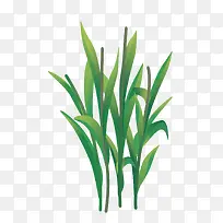 ʸÁ¿ÉîÂÌÉ«ÂóÃçС²Ý-¿ÕÈôÍø ʸÁ¿ÉîÂÌÉ«ÂóÃçС²Ý-¿ÕÈôÍø