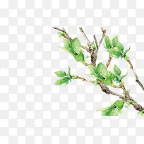 手绘树枝春芽素材-空若网 手绘树枝春芽素材-空若网