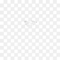 枝上有雪的树枝-空若网 枝上有雪的树枝-空若网