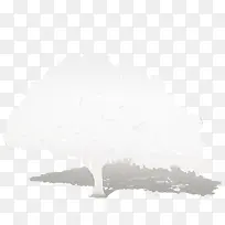 白色的树-空若网 白色的树-空若网