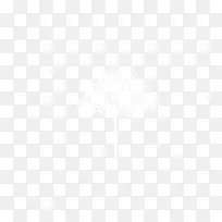 白色树木-空若网 白色树木-空若网