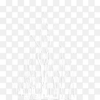 白色树木-空若网 白色树木-空若网