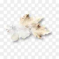 ��ɫ֦Ҷ��ѩ-������