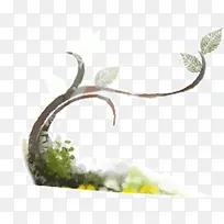 ����ɫ��-������