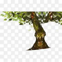 ����ɫ��-������