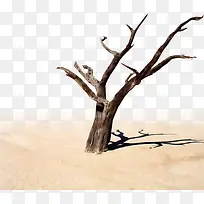 �ɿ���ľ-������