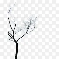 �ɿ���֦ �� ��֦-������