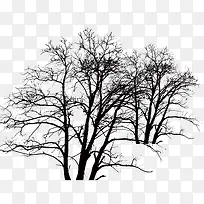 黑色树枝-空若网 黑色树枝-空若网