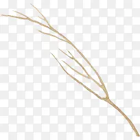 卡通手绘卡通树枝-空若网 卡通手绘卡通树枝-空若网