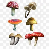 彩色蘑菇-空若网 彩色蘑菇-空若网