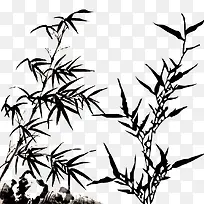 素描兰草-空若网 素描兰草-空若网