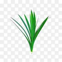 蔬菜矢量素材-空若网 蔬菜矢量素材-空若网