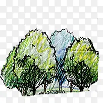 手绘水彩简笔画树木-空若网 手绘水彩简笔画树木-空若网
