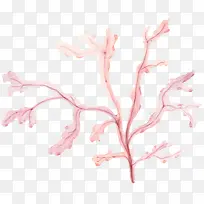 手绘植物-空若网 手绘植物-空若网