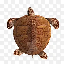 ʸ������-������