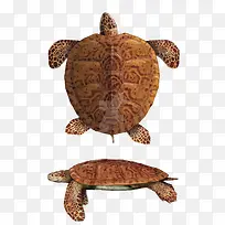 ʸ������-������