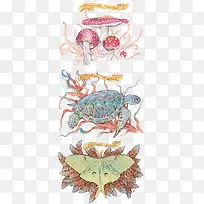 矢量蘑菇飞蛾和海龟-空若网 矢量蘑菇飞蛾和海龟-空若网