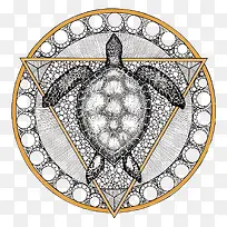 矢量乌龟设计-空若网 矢量乌龟设计-空若网
