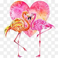 爱心火烈鸟-空若网 爱心火烈鸟-空若网