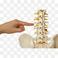 ��׵�ṹ��ѧ-������