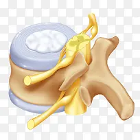 ��׵����ϵͳ-������