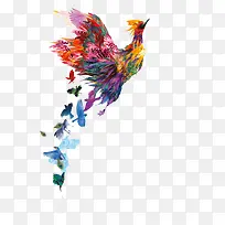 简约彩色孔雀插画-空若网 简约彩色孔雀插画-空若网