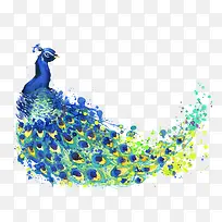 水彩孔雀-空若网 水彩孔雀-空若网